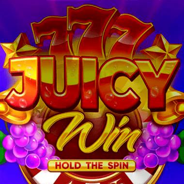Juicy Win Hold The Spin: copertina del gioco